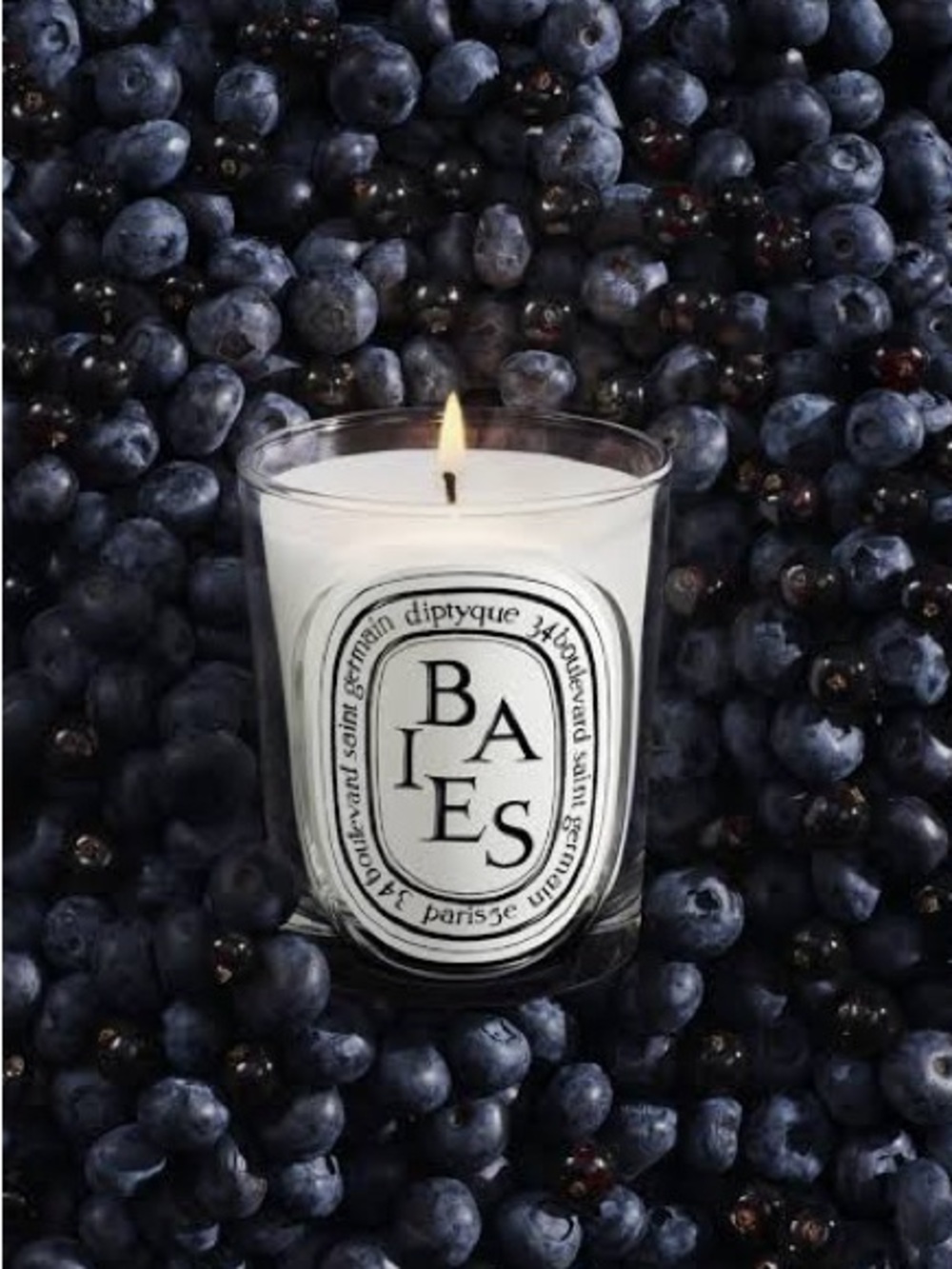 Diptyque Baies (Berries) Scented Candle New in box! 35g GWP